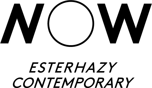 Logo Esterhazy NOW